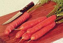 Nantes Half Long Carrot